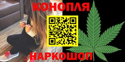 гидропоника Жуковский